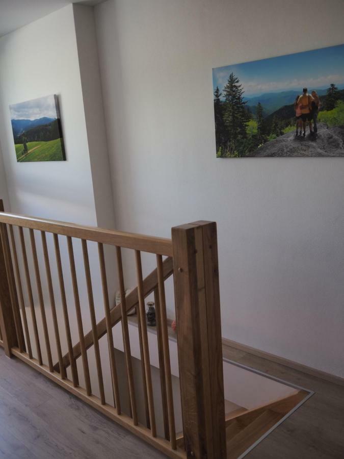Dolni Morava - Apartmany Bagian luar foto